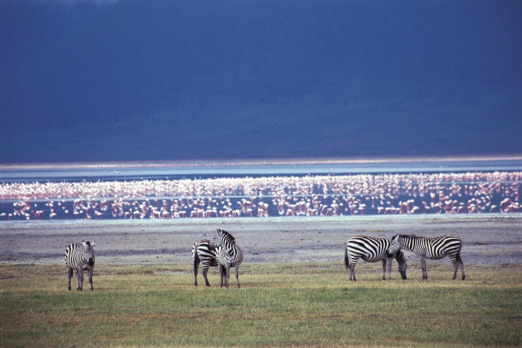 Lake Manyara