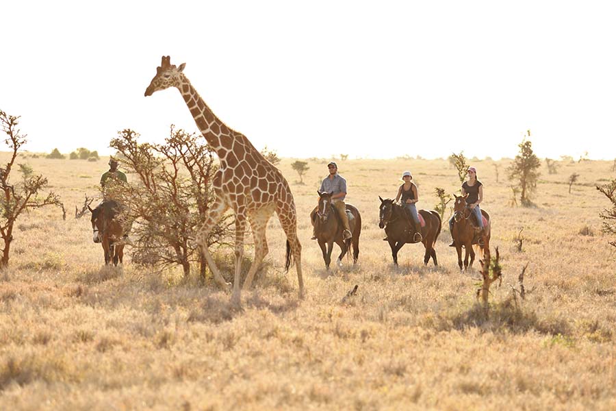 Uganda horse riding