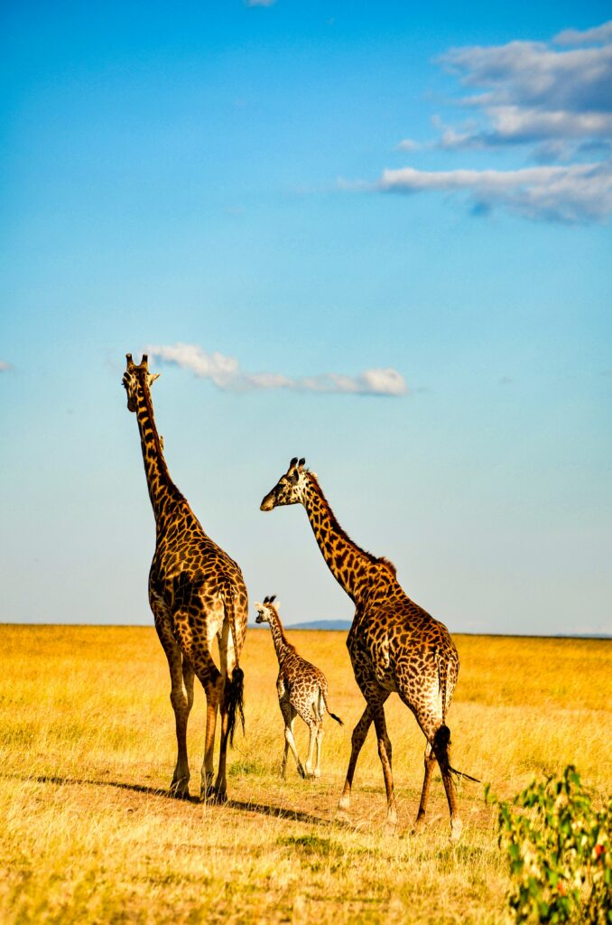 Kenya