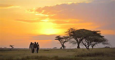 Serengeti wilderness