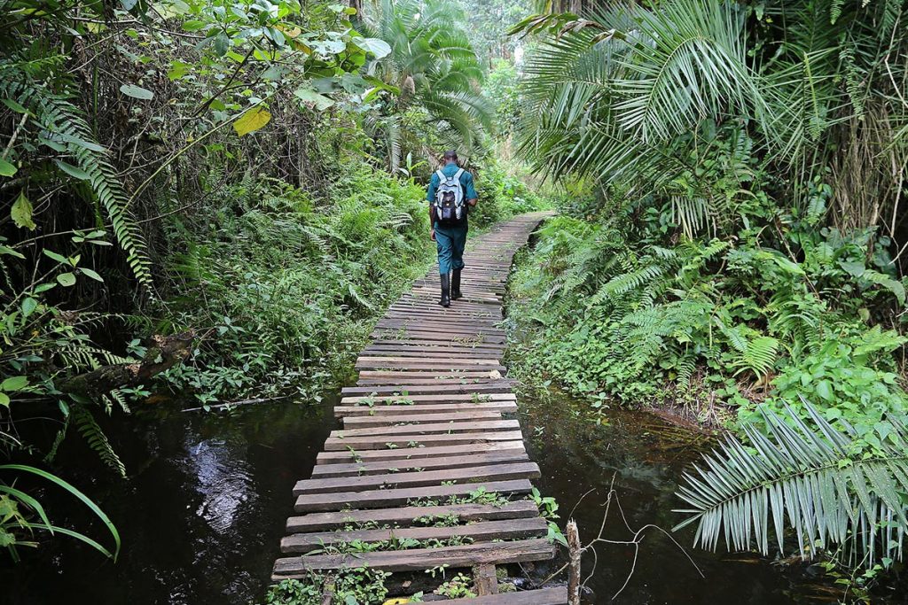 Kibale National Park