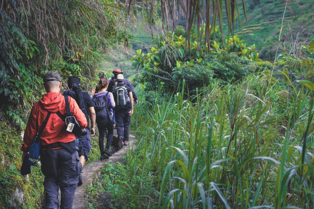 walking safari